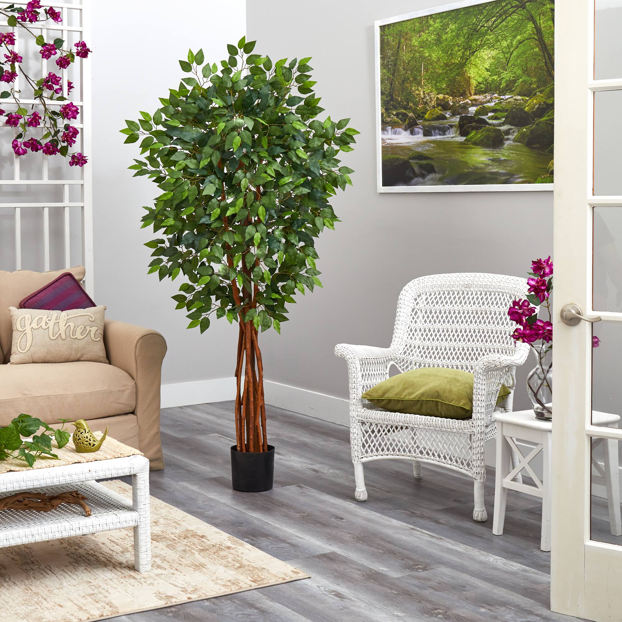 5.5ft. Potted Super Deluxe Ficus Tree